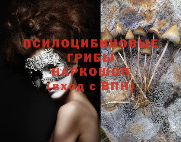 марки nbome Гусев