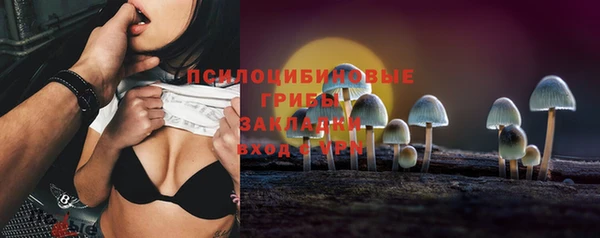 apvp Гусь-Хрустальный