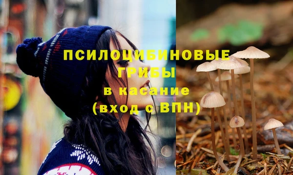 кокс Дмитров