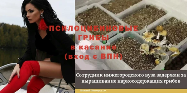 хмурый Дмитриев