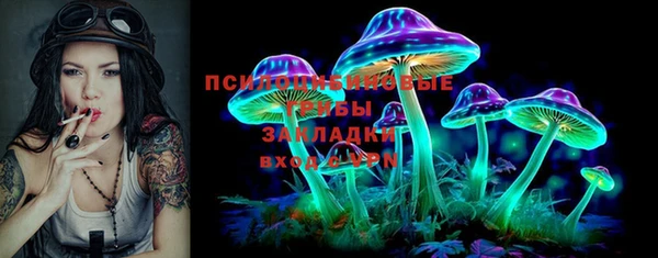 кокс Дмитров